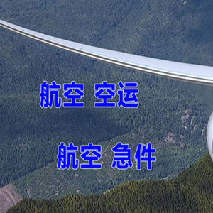 文山砚山航空邮寄快递-选东方航空和上海航空