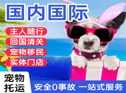 文山砚山航空邮寄国际宠物托运 【国